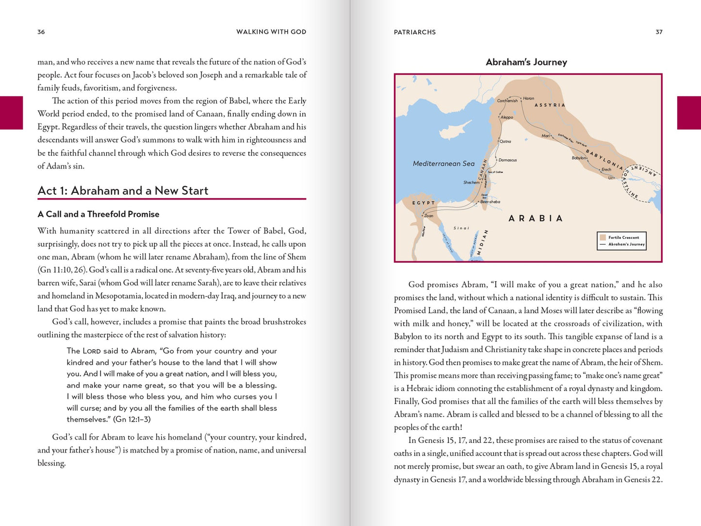 Walking With God: A Journey Through the Bible - by Tim Gray and Jeff Cavins