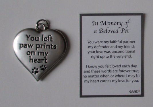 In Memory of a Beloved Pet Pocket Token with card