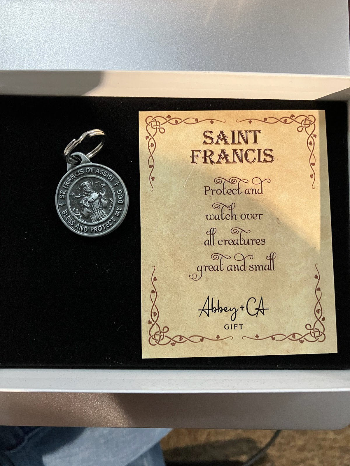 St. Francis Of Assisi Pet Medal