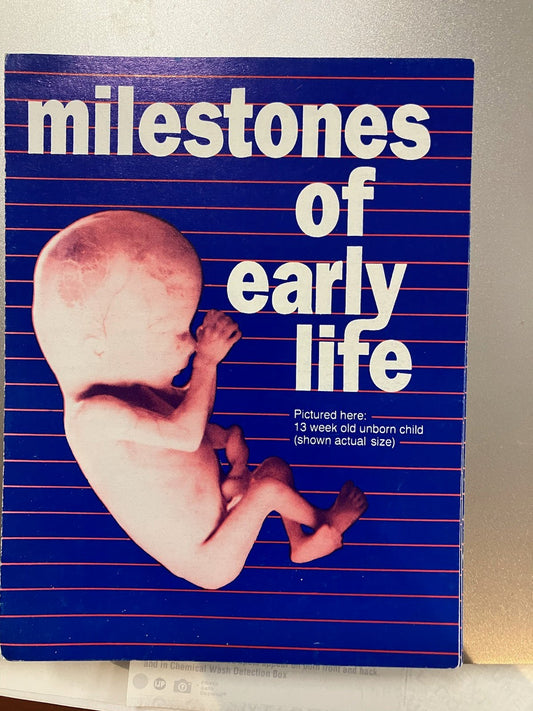 Milestones Of Early Life