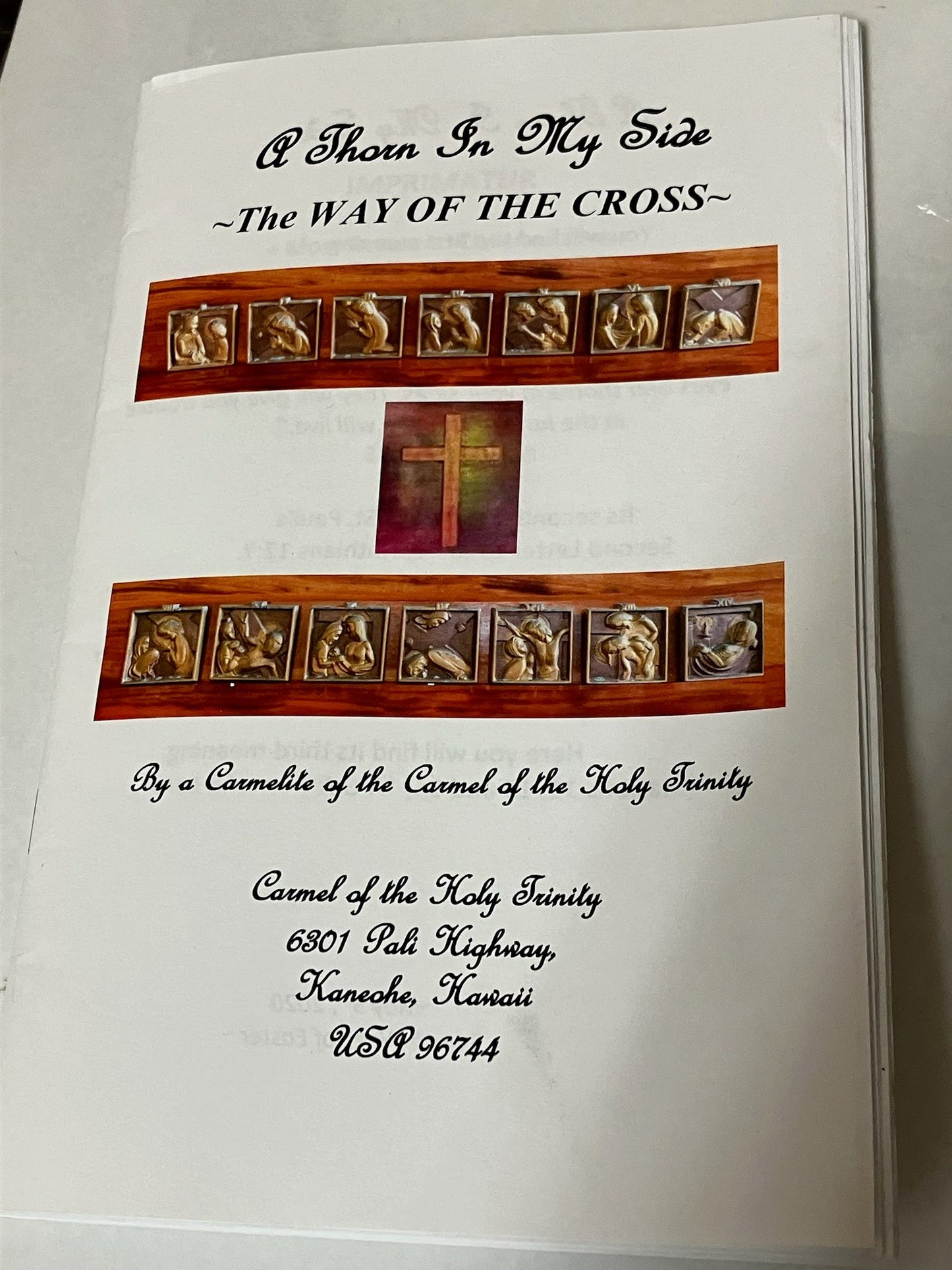 USED: A Thorn In My Side - The Way of the Cross by a Carmelite of the Carmel of the Holy Trinity