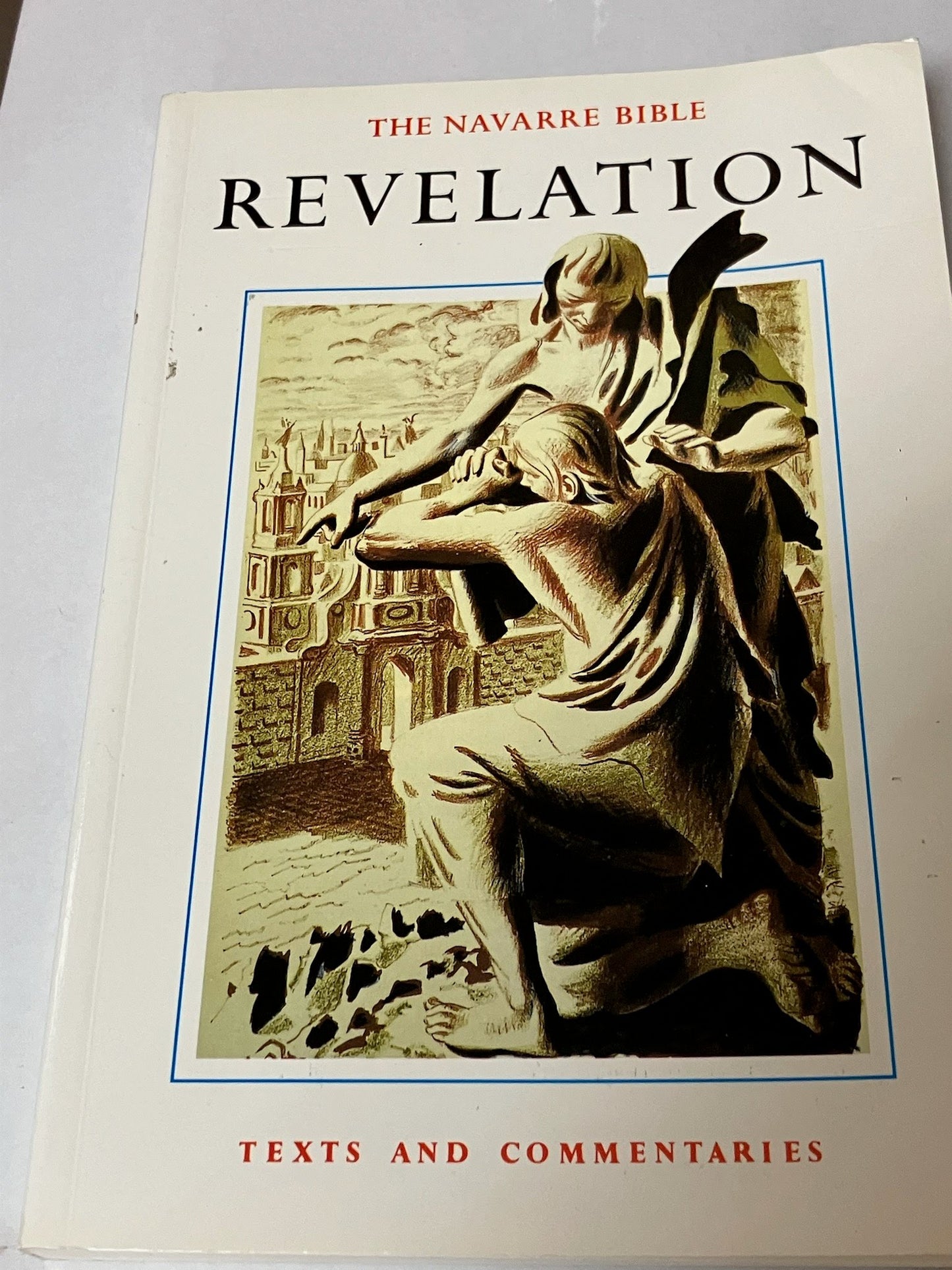 Revelation Navarre Bible