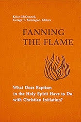 Fanning the flame: heart of the church consultation : what does baptism in the holy spirit have to do with christian initiation? - Booklet