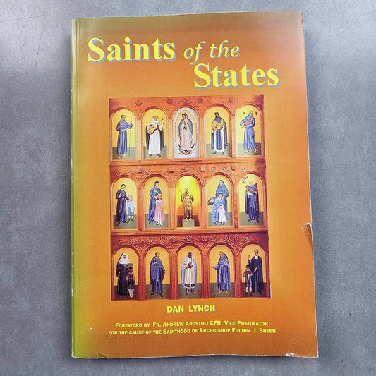 USED: Saints of the States - by Dan Lynch