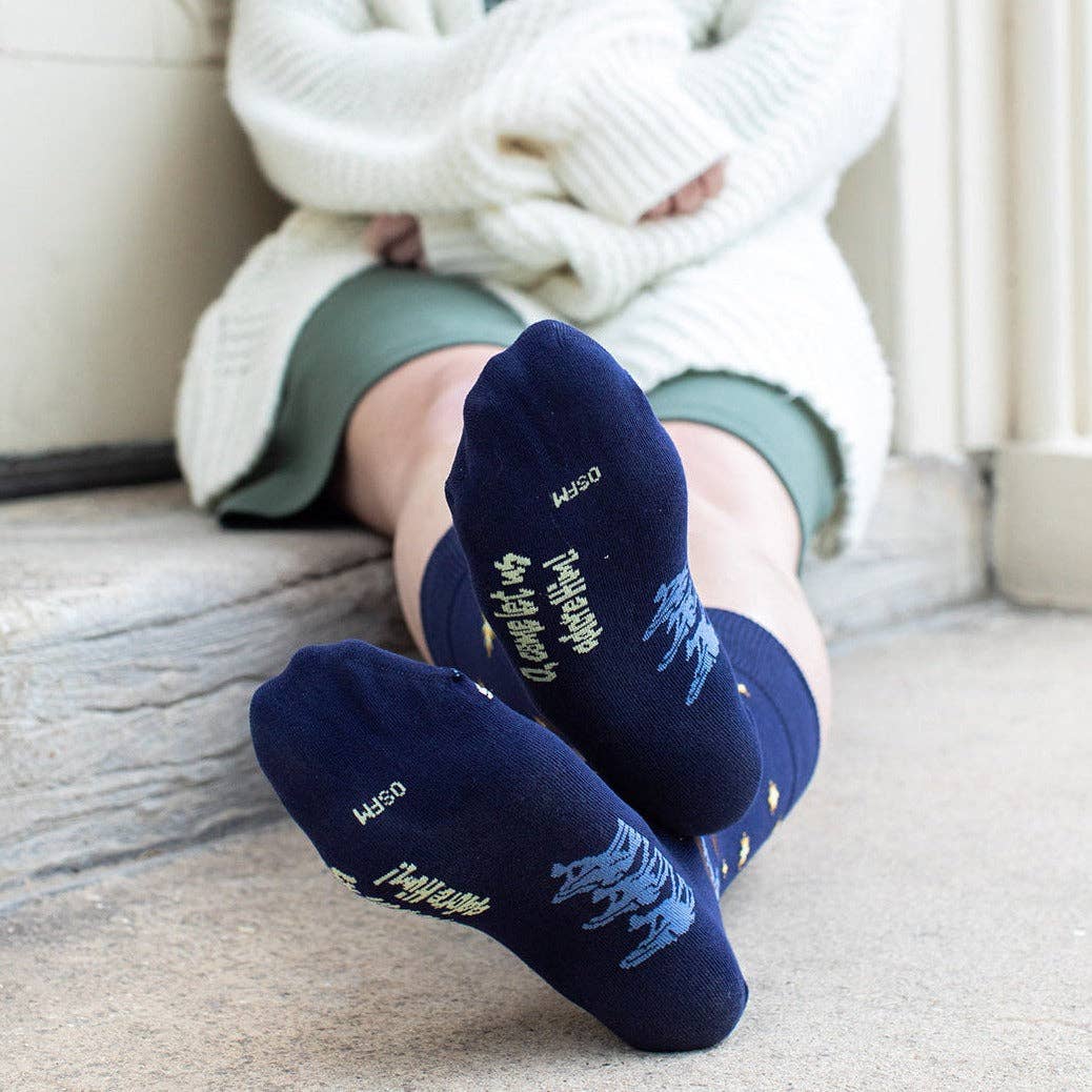 Nativity Adult Socks