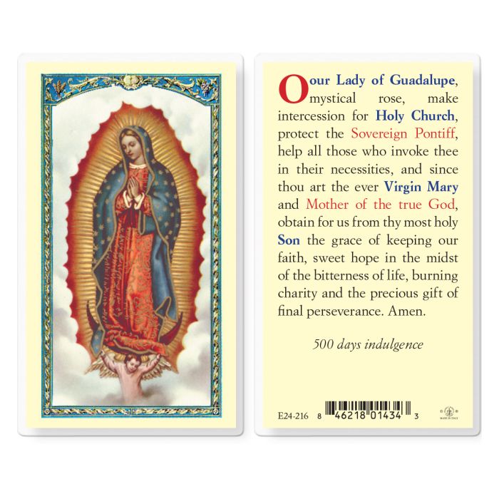 Our Lady of Guadalupe, Mystical Rose Prayer, 500 days indulgence - Holy Card