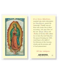 Our Lady Of Guadalupe  Mystical Rose Prayer Holy Card