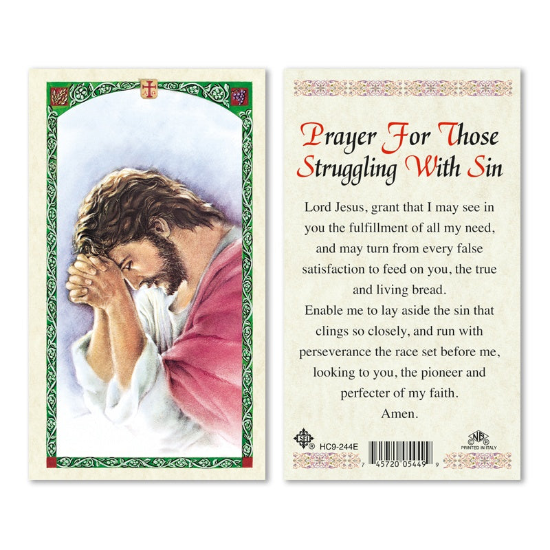 Prayer For Those Struggling With Sin Laminated Holy Card