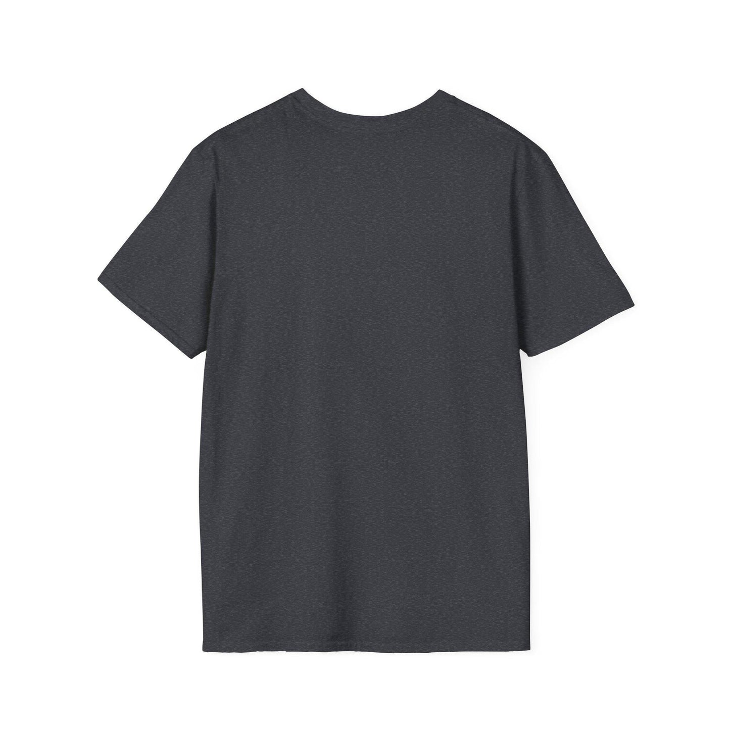 Divine Mercy Graphic TShirt