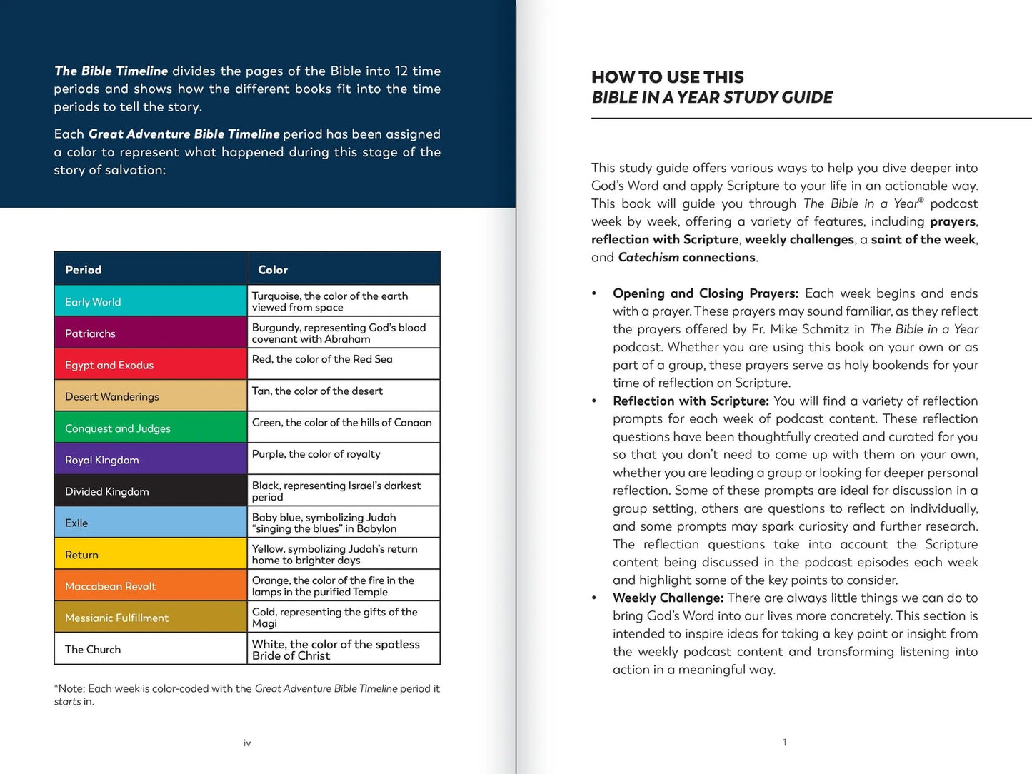 The Bible in a Year: Study Guide - by Fr. Mike Schmitz