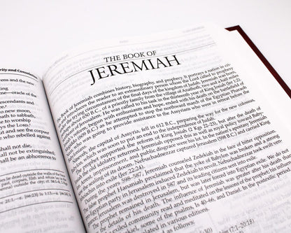 New American Bible: Revised Edition - Hardcover
