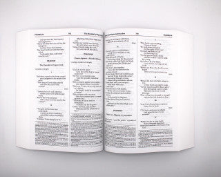 New American Bible: Revised Edition (NABRE) - Paperback