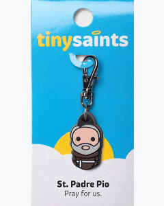 TINY SAINTS Charms