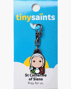 TINY SAINTS Charms